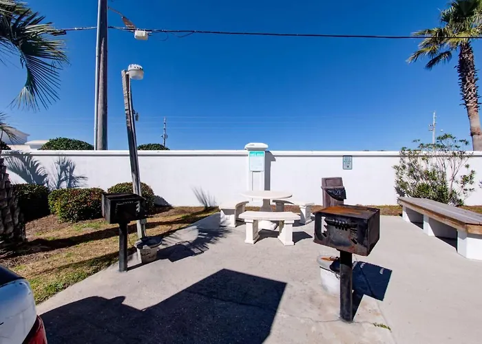 Palm A14 By Collection Gulf Shores