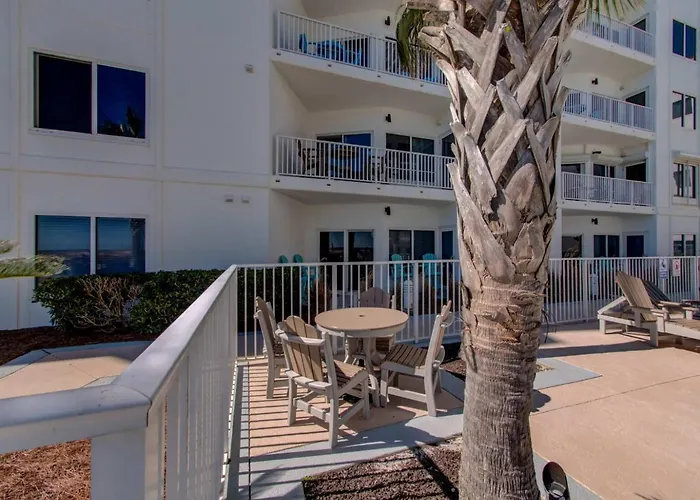 Apartment Palm A14 By Collection