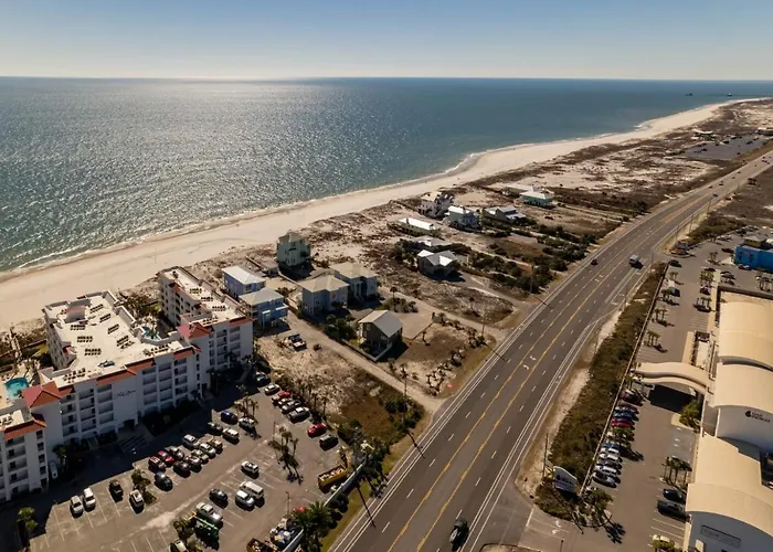Palm A14 By Collection Gulf Shores