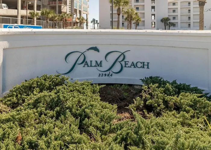 Apartment Palm A14 By Collection *