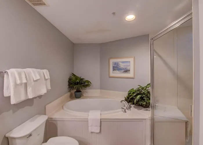 Apartment Palm A14 By Collection Gulf Shores
