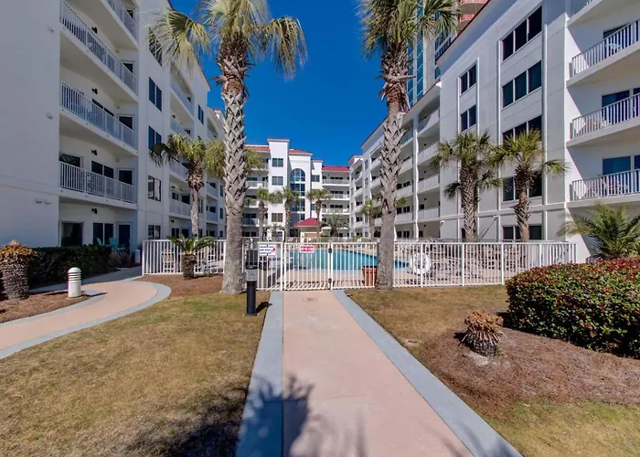 Apartment Palm A14 By Collection