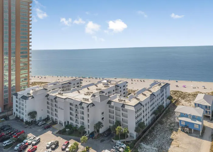 Apartment Palm A14 By Collection *