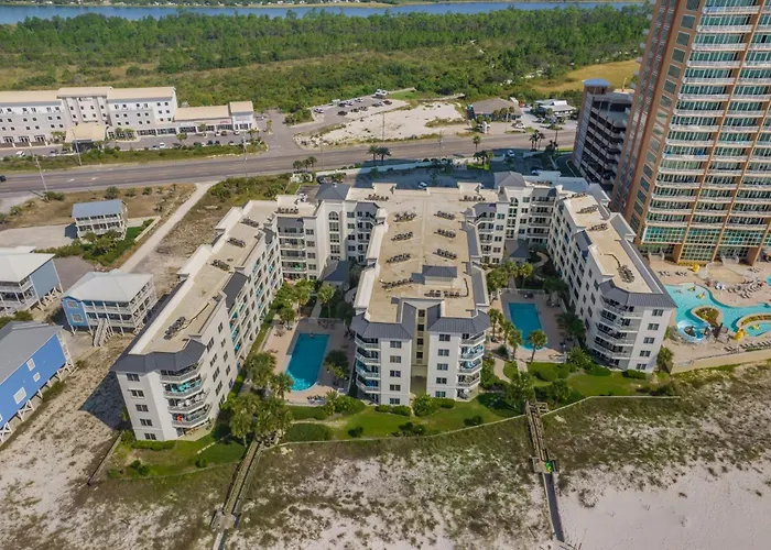 Apartment Palm A14 By Collection