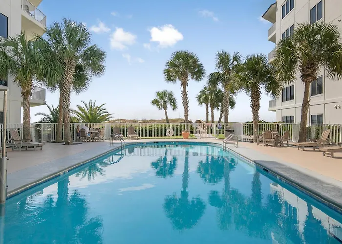 Apartment Palm A14 By Collection *