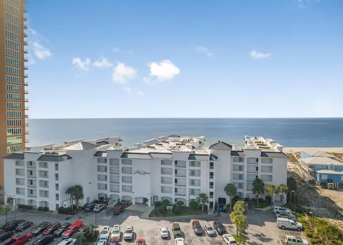 Palm A14 By Collection Gulf Shores